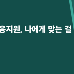 청년 금융지원, 나에게 맞는 걸 찾는 법
